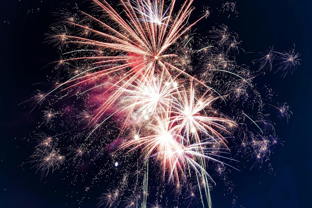 Colorful fireworks bursting in the night sky