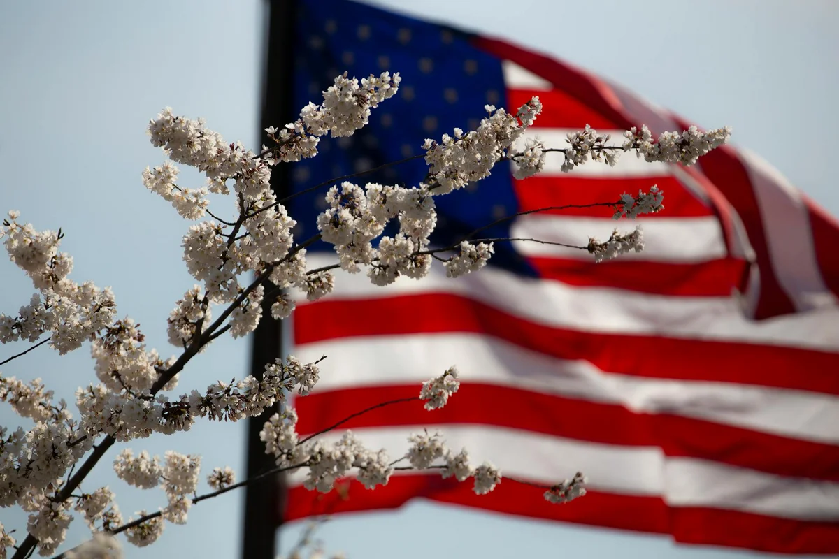 American flags waving for Independence Day